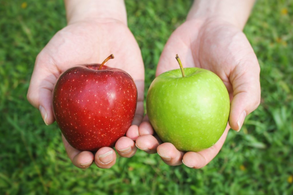 hands holding two apples - one red and one green